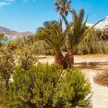 Only Yours , Mykonos Apartment