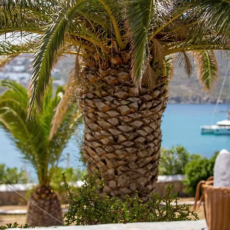 Only Yours , Mykonos - Private Pool & Sea View Near Scorpios 公寓 帕瑞加